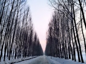 今年就业季大学生求职新动向：节奏更快，高峰提前